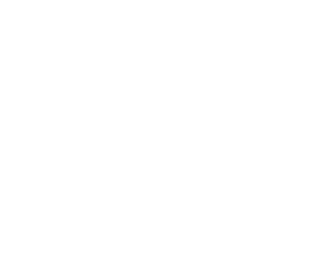 Best-of-Biz-Reverse-Logo