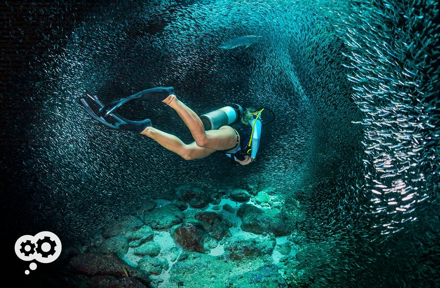 Blog_DivingDeep_ARK