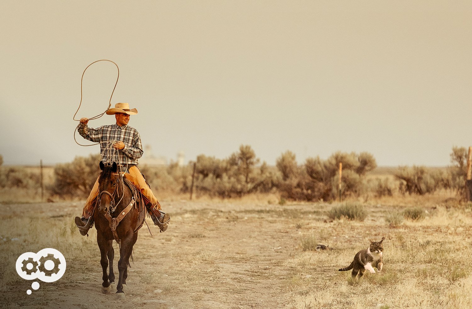 blog-herding_cats blog-herding_cats