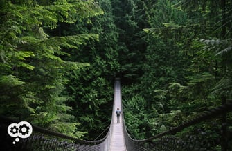 blog_ARK_bridgeproductivity2