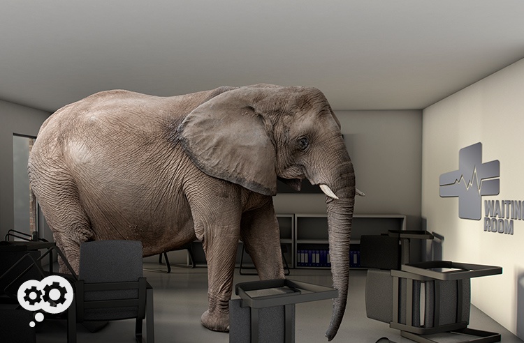 blog_elephant_waiting_room