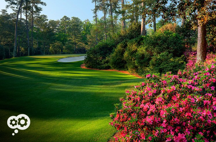 blog_weed_common_ground_2-1.jpg blog_weed_common_ground_2-1.jpg