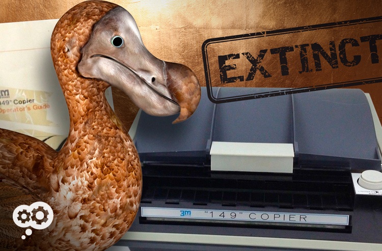 call of dodo call of dodo