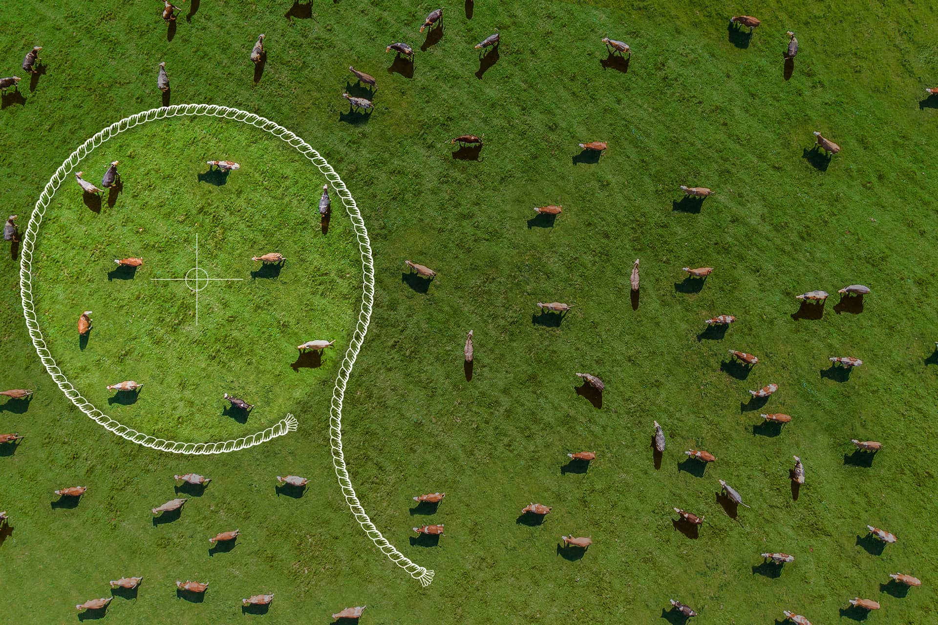 Hero-Banner-Template-Centers-of-Influence2