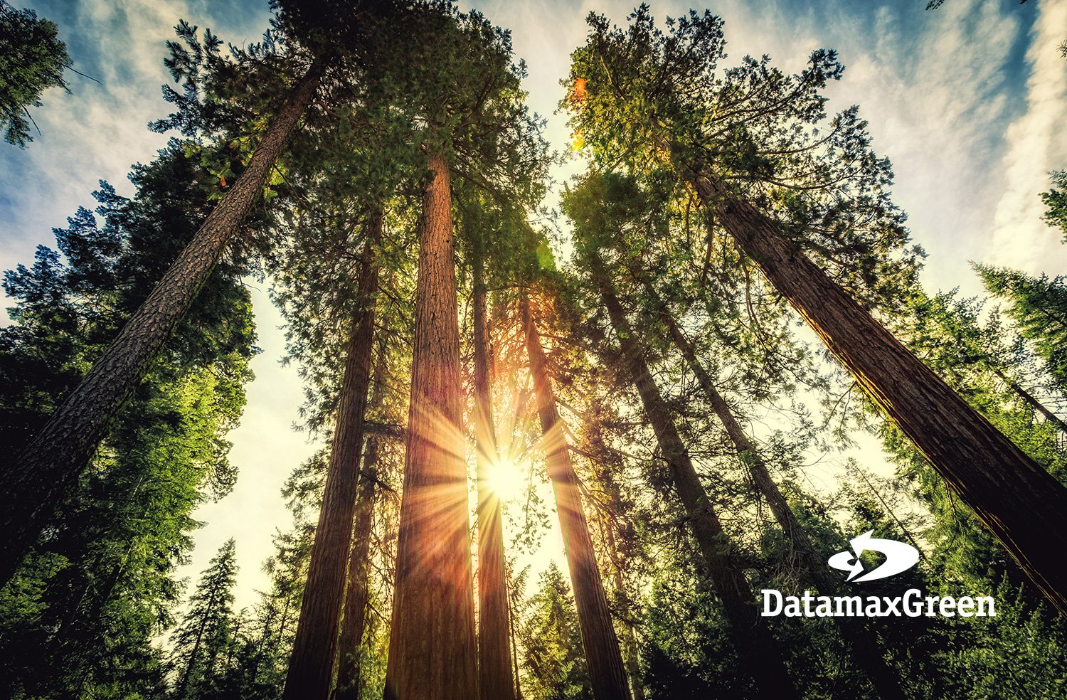 news_ArbordayFoundation_ARK news_ArbordayFoundation_ARK