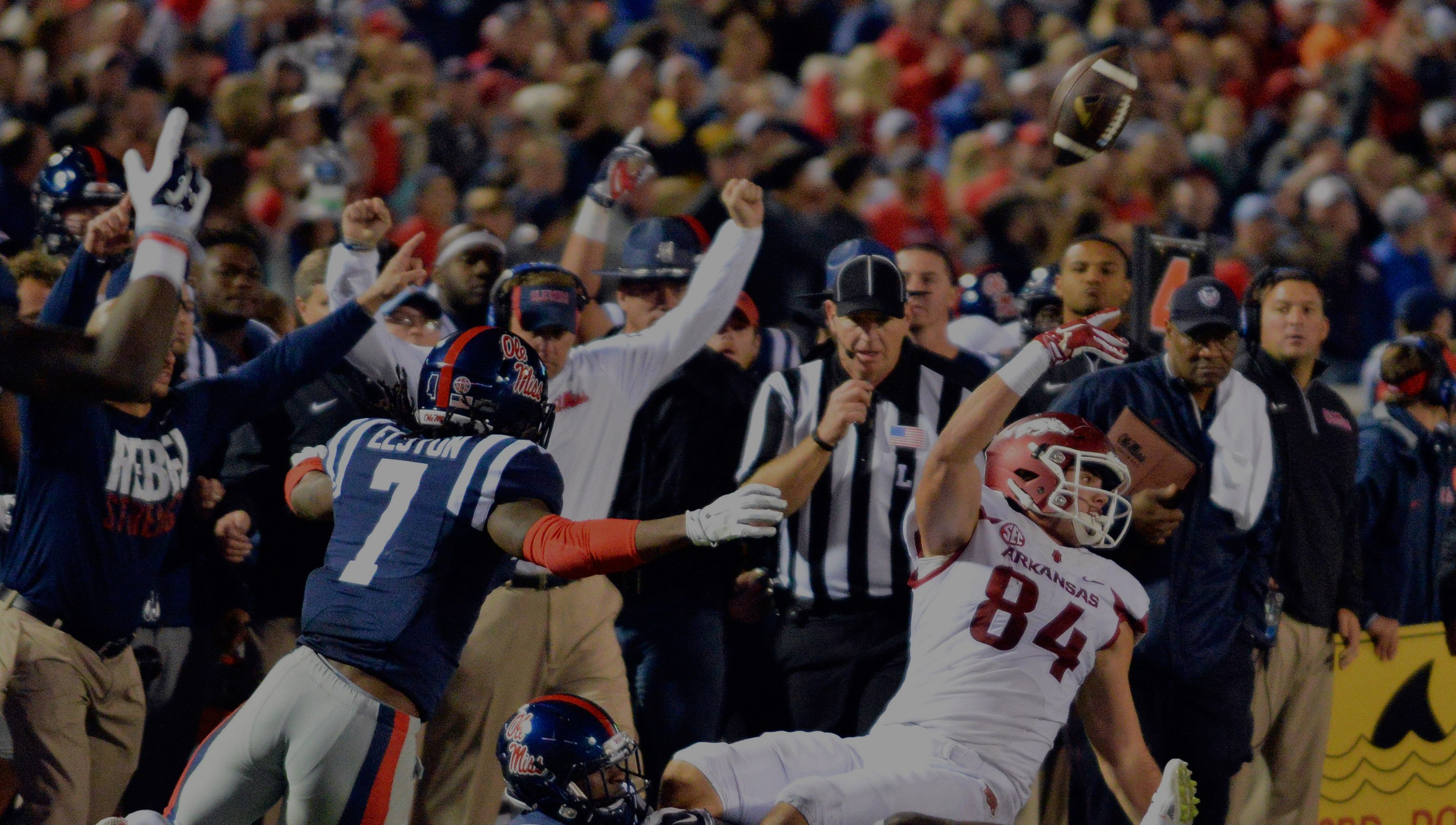 4th_Quarter_Datamax_2018.jpg 4th_Quarter_Datamax_2018.jpg