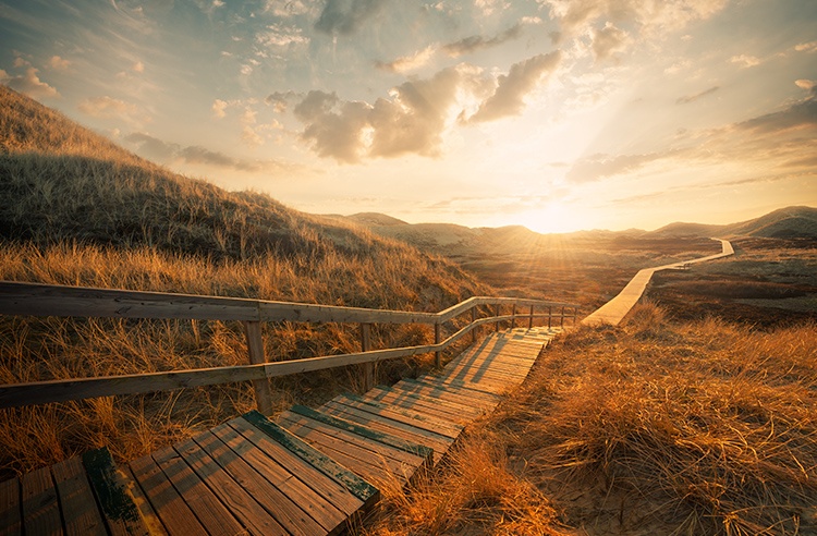 rr_proactive_feature.jpg rr_proactive_feature.jpg