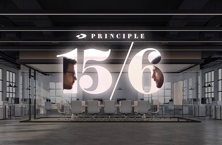 RR-Article-Smaller-Thumbnail-Template-15-6-Principle