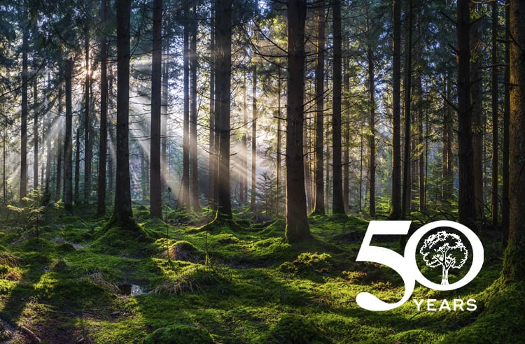 RR-Article-Smaller-Thumbnail-Template-Arbor-Day-50