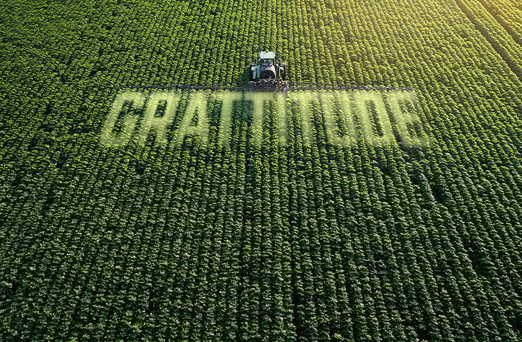 RR-Article-Smaller-Thumbnail-Template-Cultivate-Culture