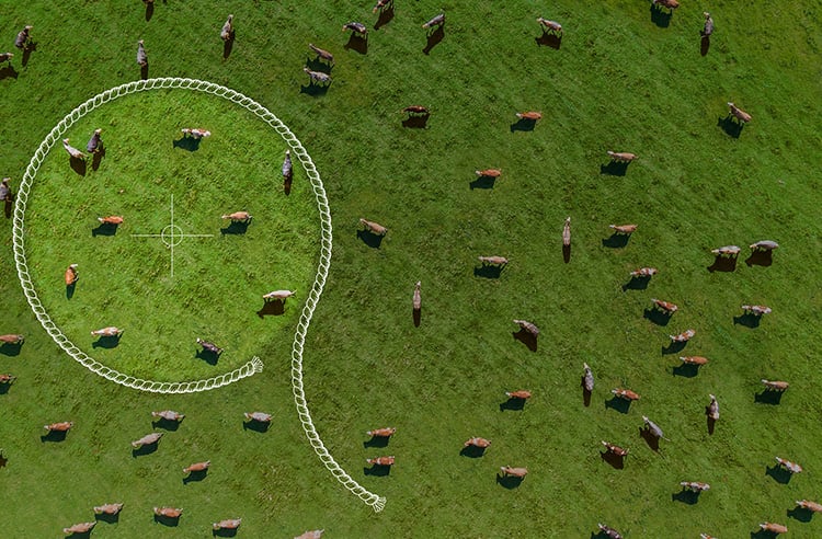 RR-Article-Smaller-Thumbnail-Template-Opening-Your-Range