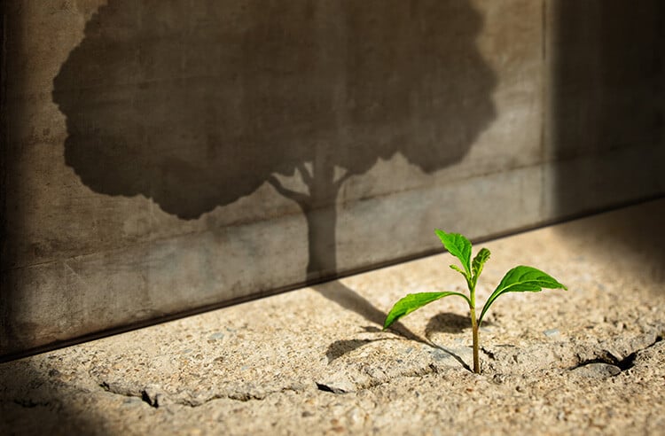 RR-Article-Smaller-Thumbnail-Template-Why