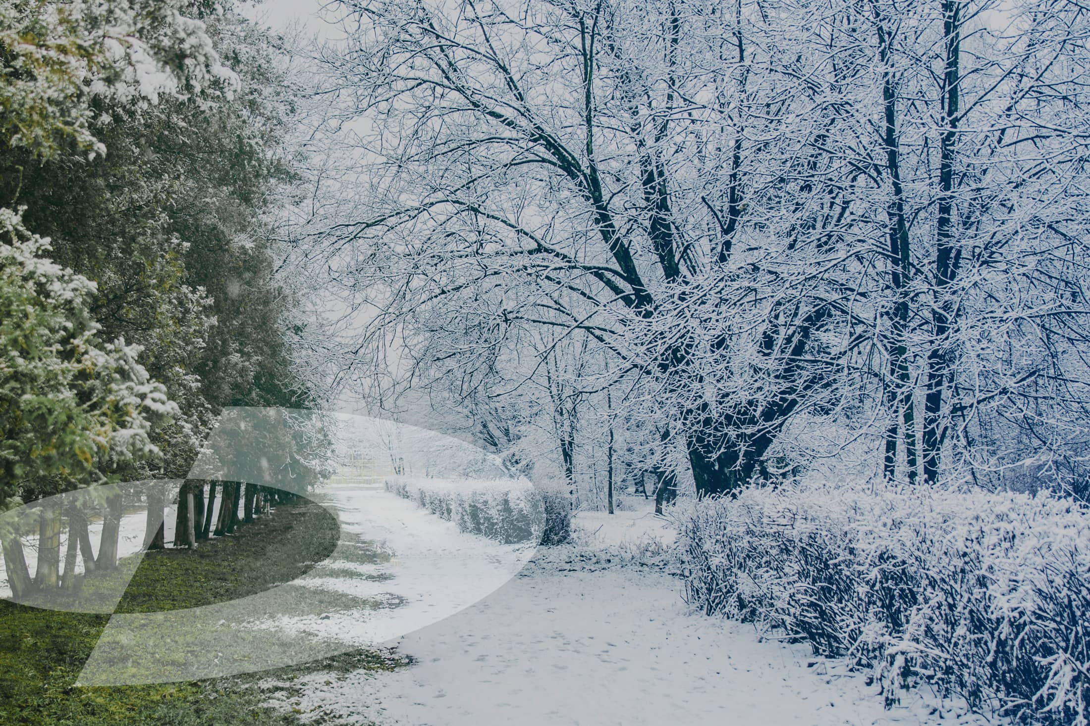 RR-Birthday-Hero-Birthday-Seasons RR-Birthday-Hero-Birthday-Seasons