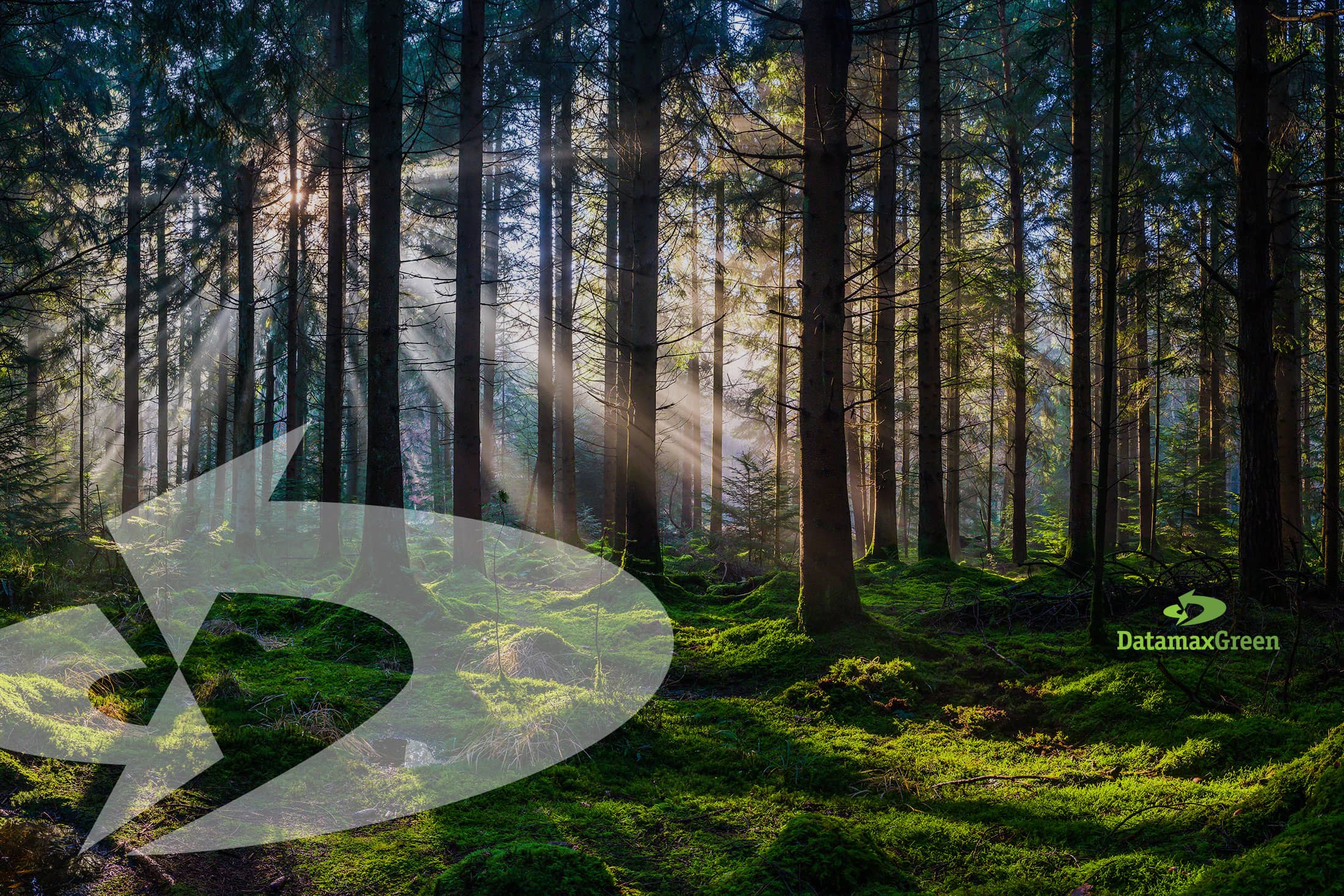 RR-Birthday-Hero-Datamax-Green RR-Birthday-Hero-Datamax-Green