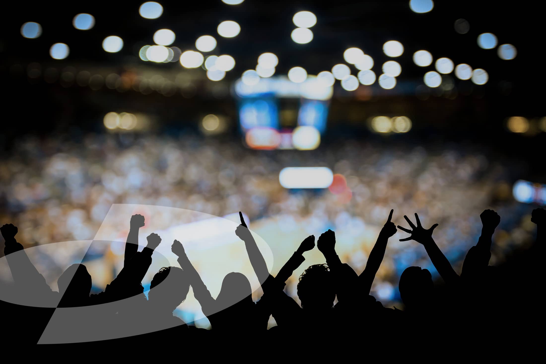 RR-Birthday-Hero-Halftime-fans