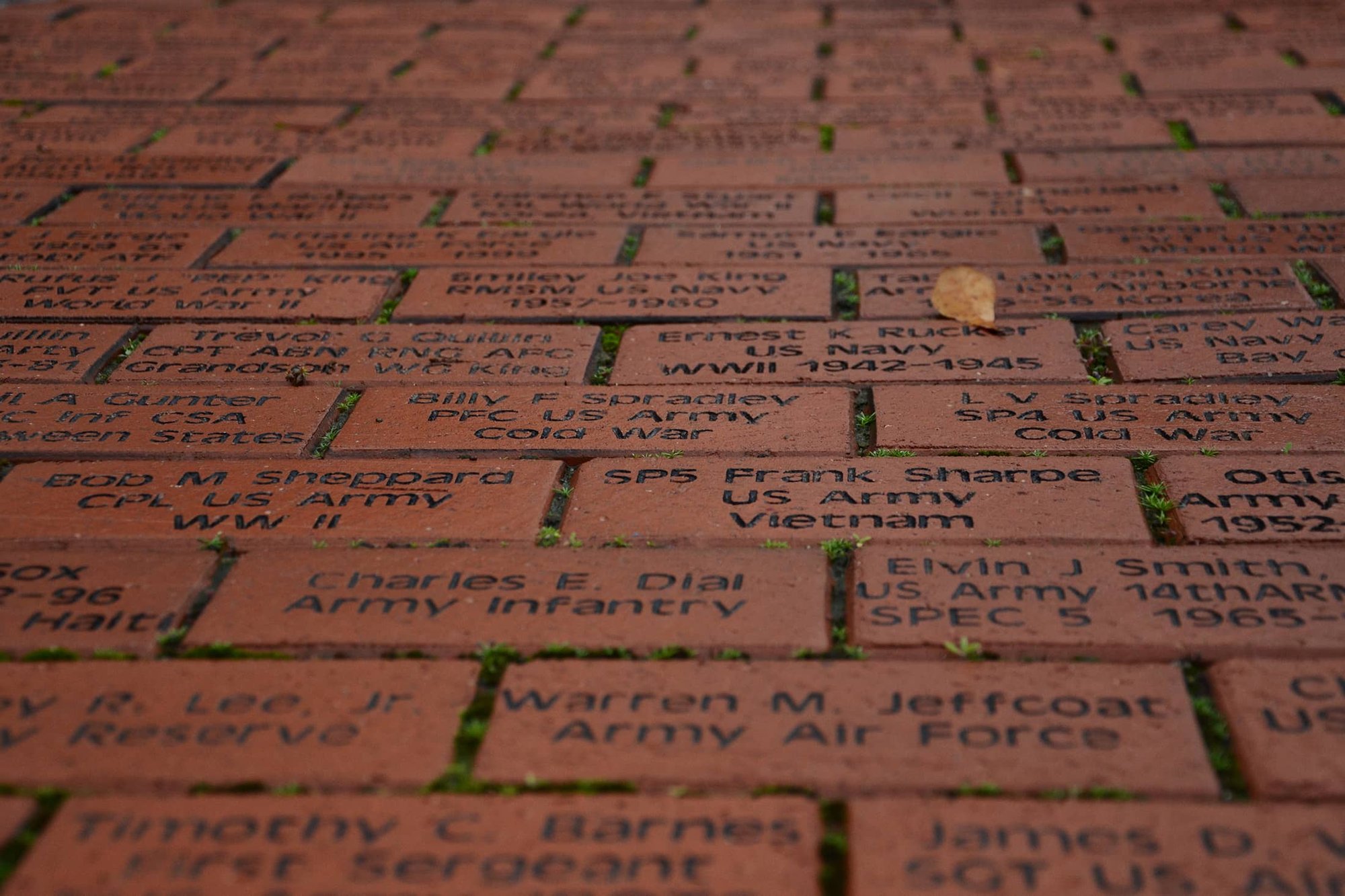 RR-Birthday-Hero-Template-2025-May