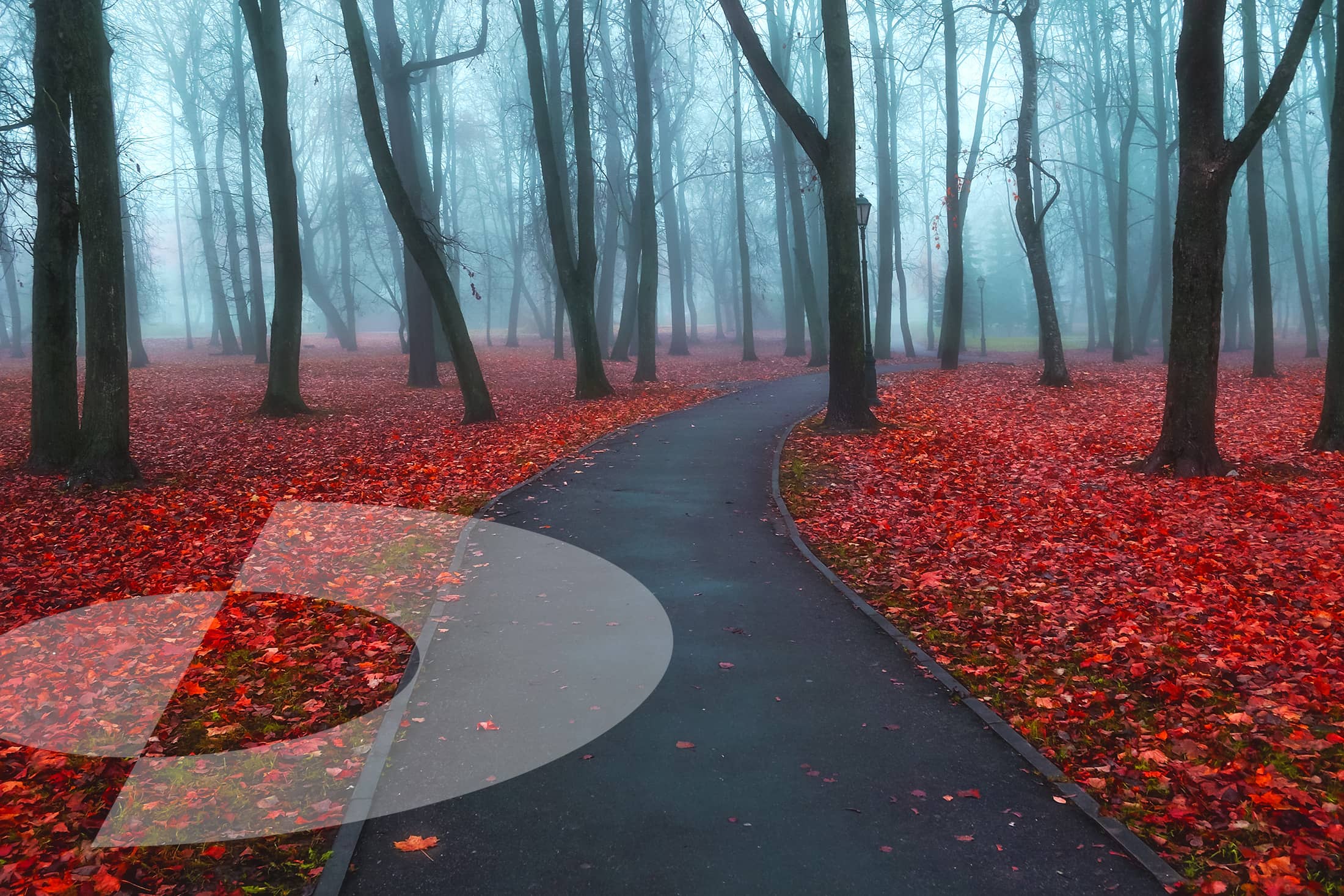 RR-Birthday-Hero-Template-November-2021 RR-Birthday-Hero-Template-November-2021