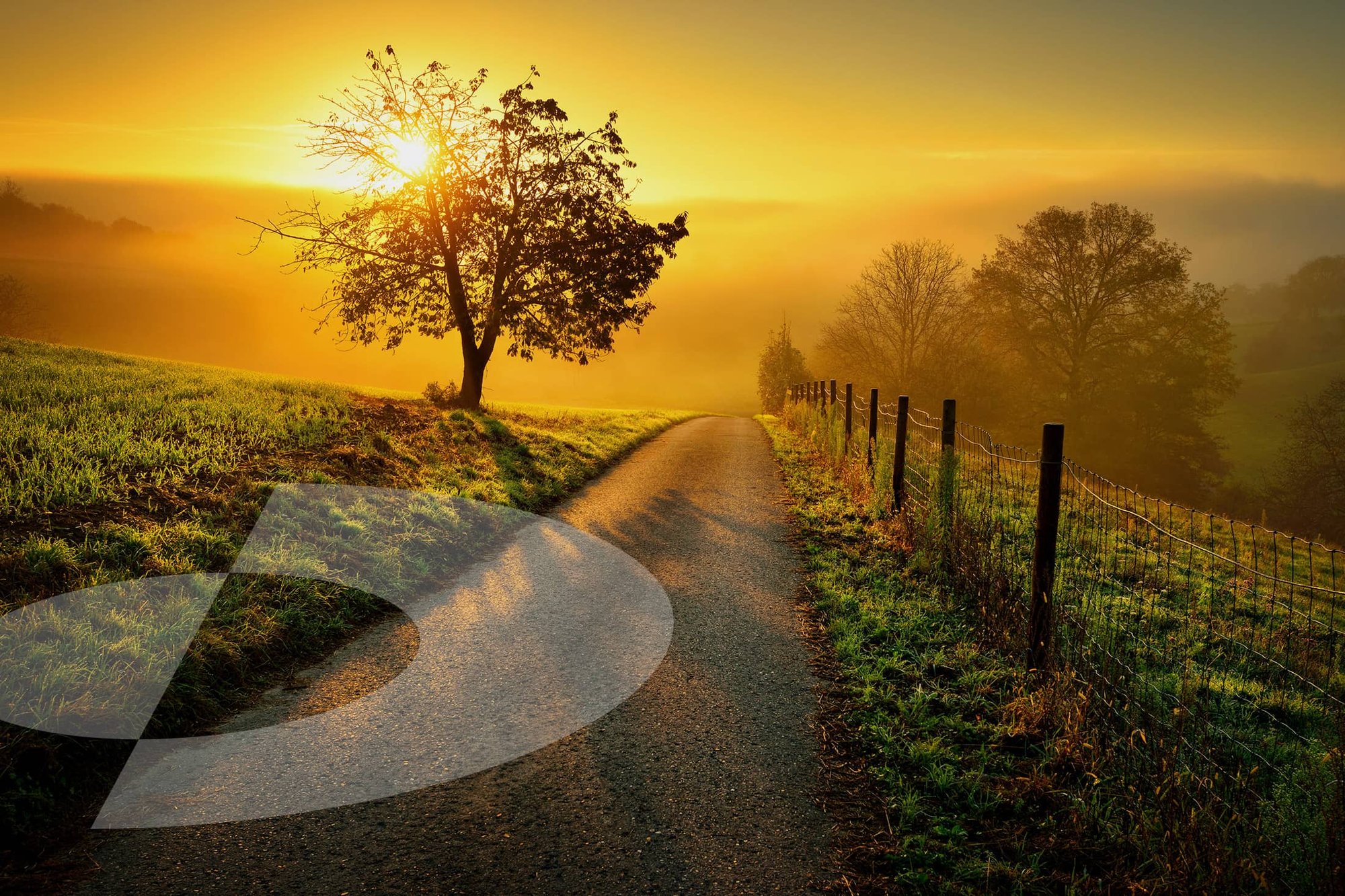 RR-Birthday-Hero-Template-Rave-Review-Dec-2025 RR-Birthday-Hero-Template-Rave-Review-Dec-2025