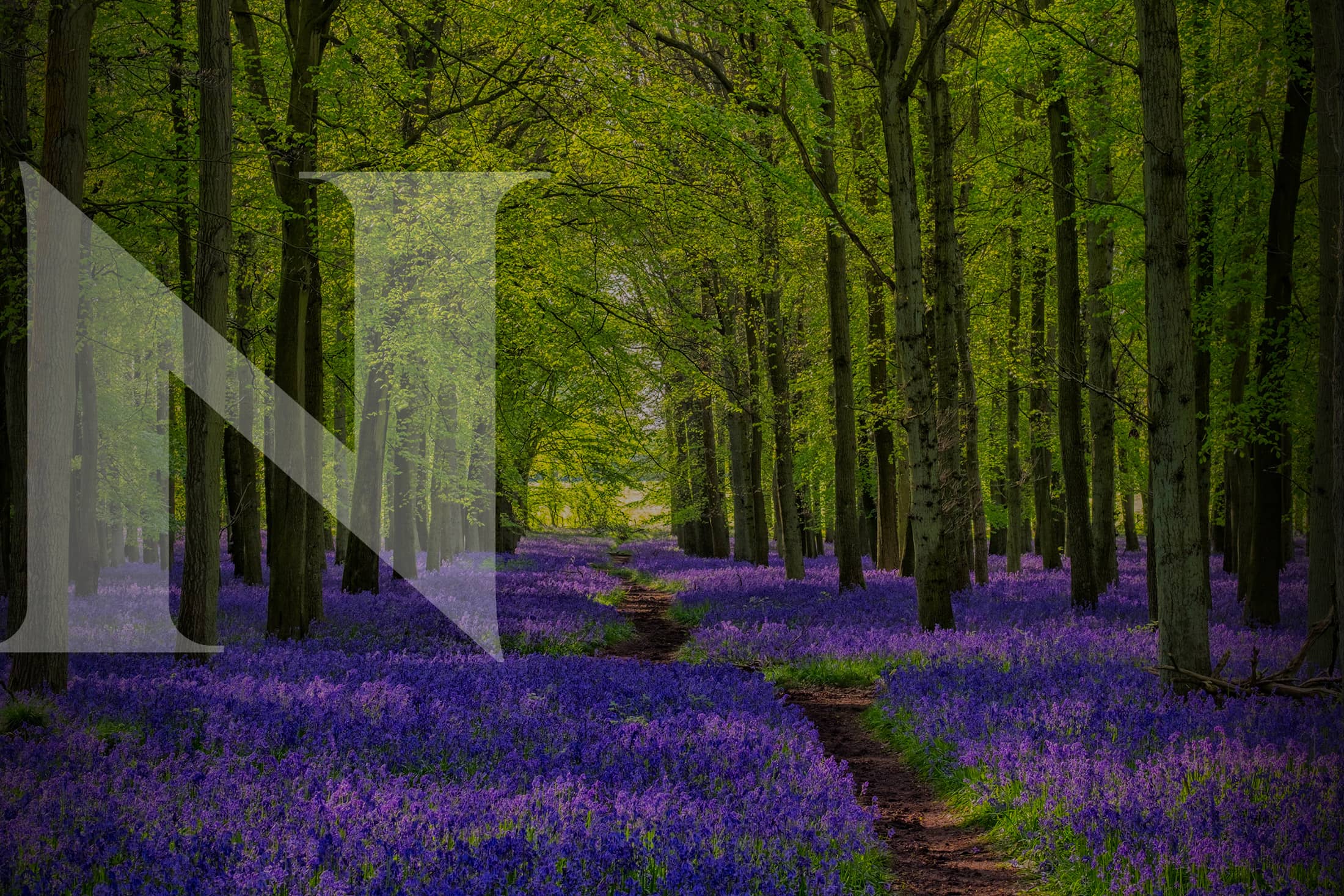 RR-Birthday-Hero-Template-Recovered-April2023