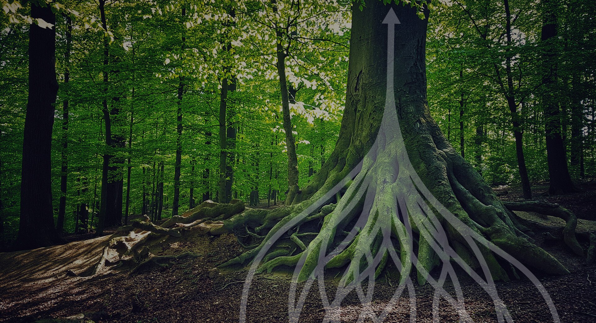 RR-Hero-Banner-Article-Synergy-Thrive RR-Hero-Banner-Article-Synergy-Thrive