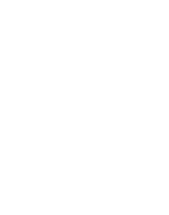 Scaling-Up-Logo-Scale