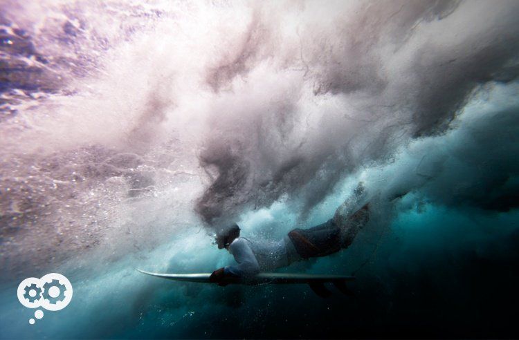 blog_image_duck_dive blog_image_duck_dive