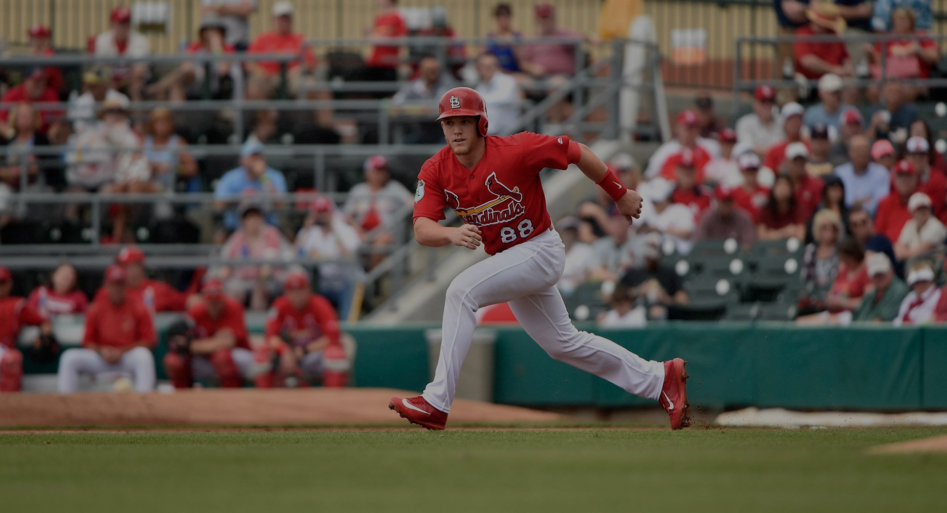 rr_article_lead_off rr_article_lead_off