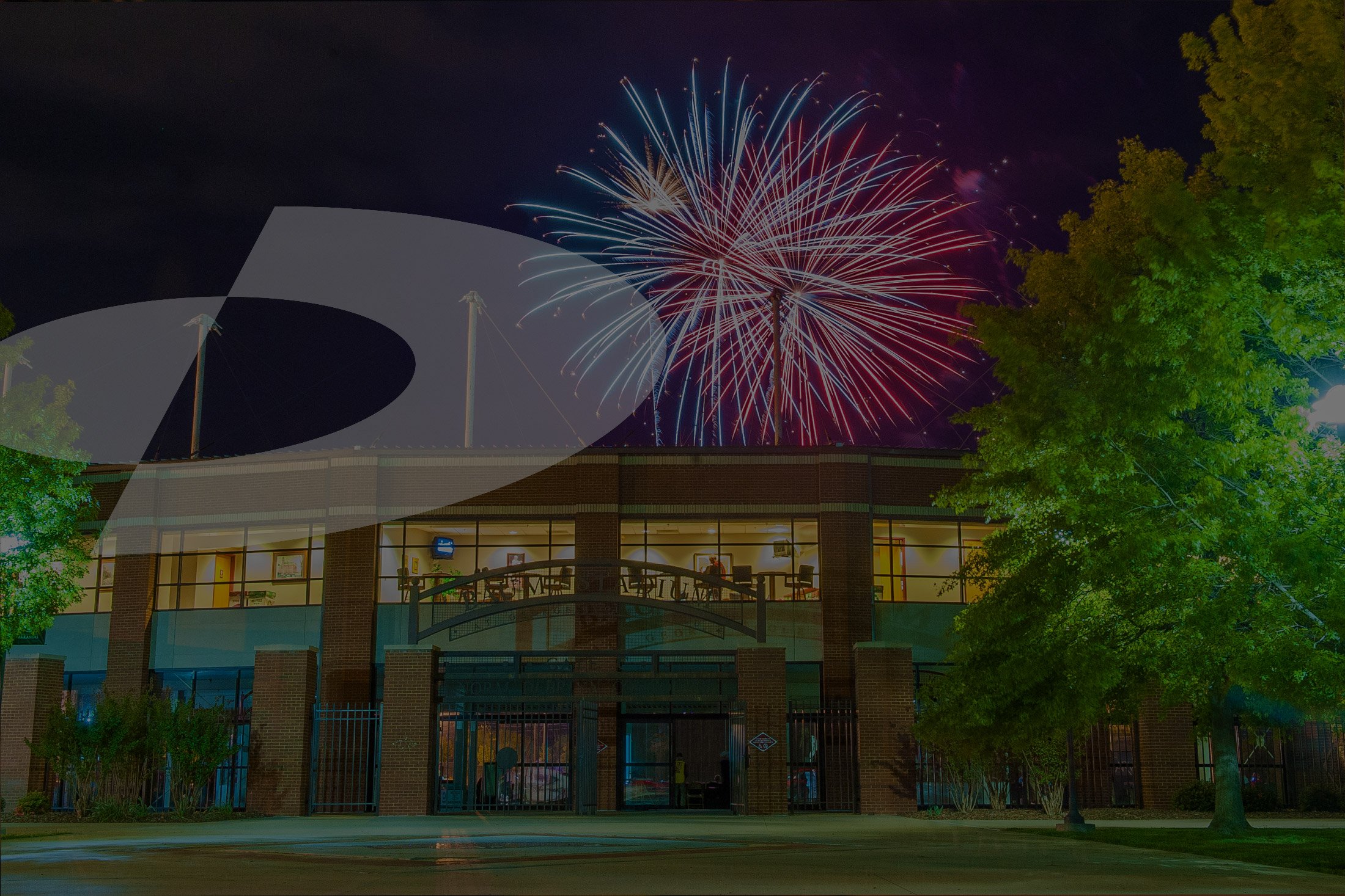 rr_birthday_background_baum rr_birthday_background_baum