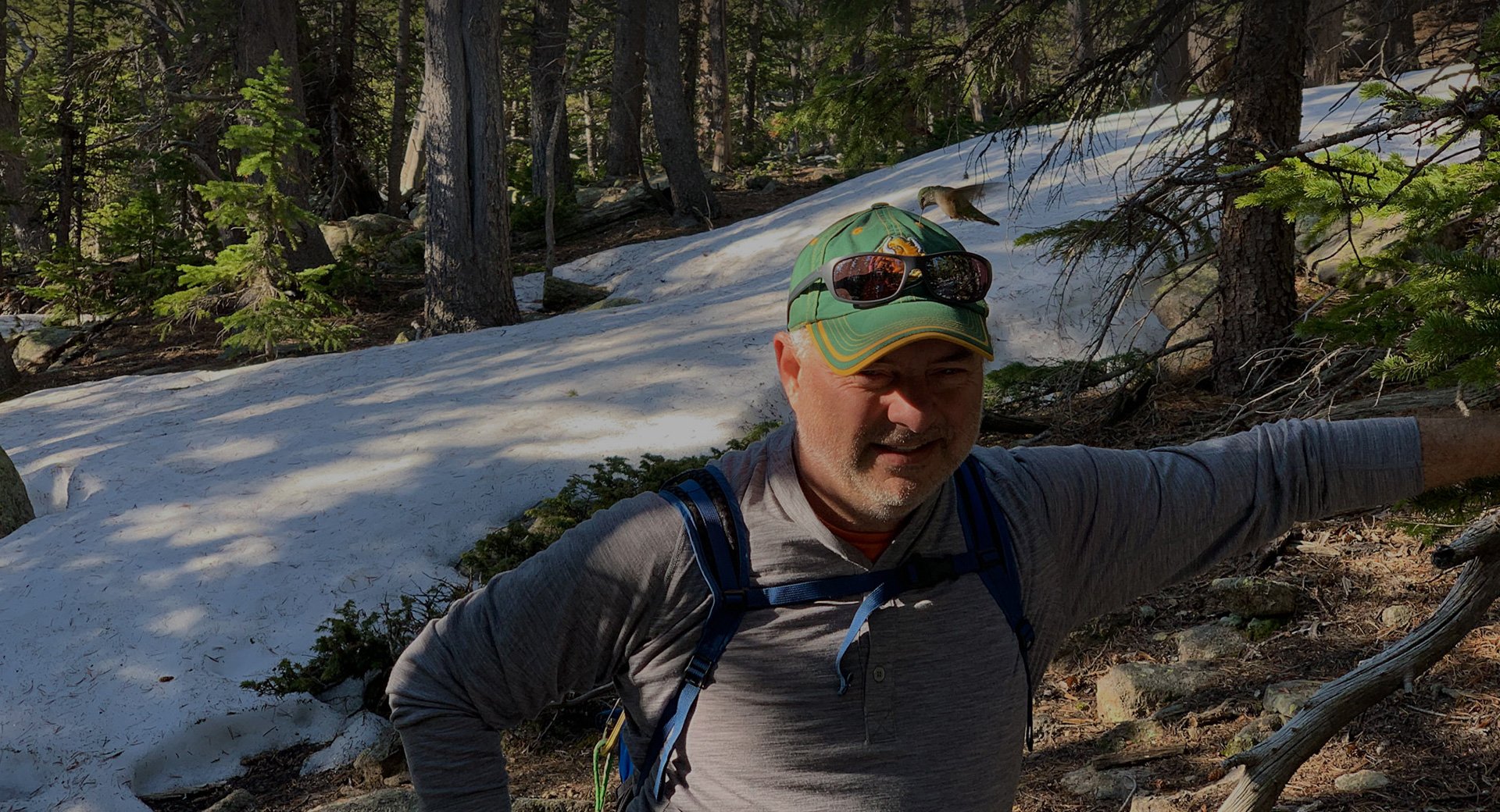 rr_hero_huffaker_hummingbird rr_hero_huffaker_hummingbird