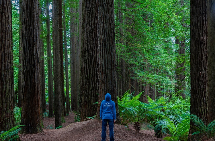 trr_green_growing_3.jpg trr_green_growing_3.jpg