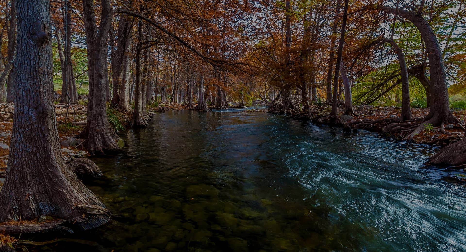 RR-Hero-Banner-Article-Guadalupe RR-Hero-Banner-Article-Guadalupe